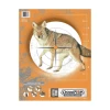 CHAMPION TARGETS CRITTER SERIES - Bild 2