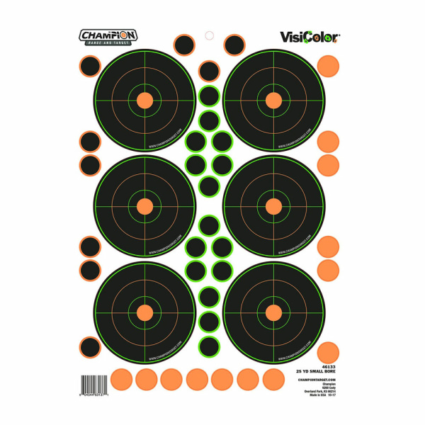 CHAMPION 25 YD VISICOLOR SM BORE 5PK W/90 PASTORS