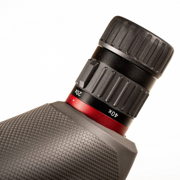 Bushnell Nitro Spotting Scope 20-60x65mm 45° Okular - Bild 3