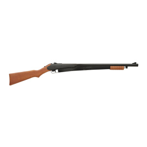 Daisy Model 25